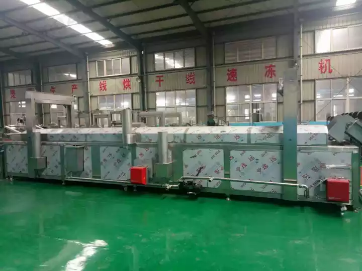 continuous frying machine with temperature control