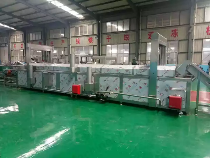 Why Invest in an Automatic Onion Rings Production Line? 10 stainless steel continuous frying machine