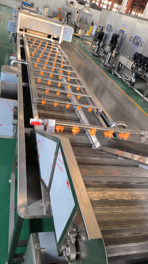 potato chips rinsing machine