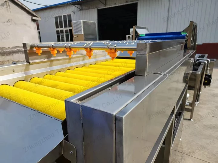 Brush Washer