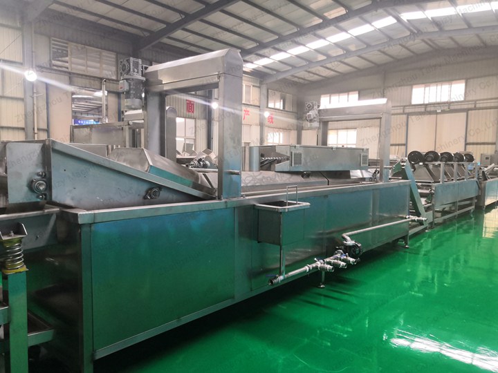 French Fry Blanching Machine