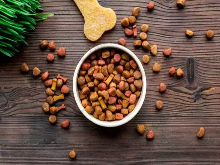 Dog Food